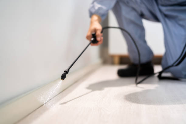 Licensed Cockroach Control service in Rosemont, CA - Nex Pest Control