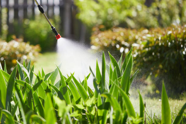 24/7 Emergency Cockroach Control experts in Rosemont, CA