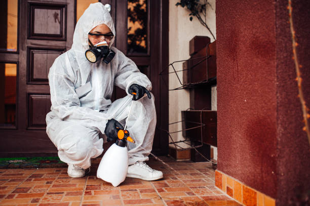 Reliable Cockroach Control contractor in Rosemont, CA by Nex Pest Control